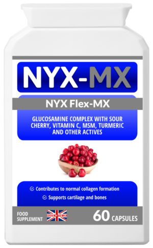NYX Flex-MX